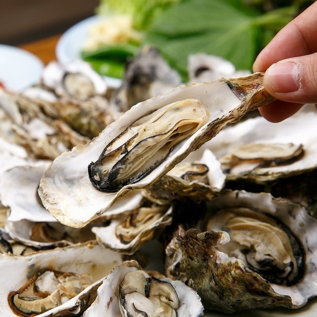 【食在新聞】採購注意！貝類進口新制，2018年起須附官方證明