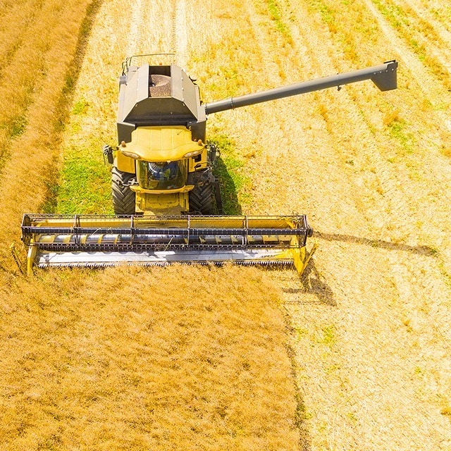 請加入聯合利華的綠色餐飲計劃