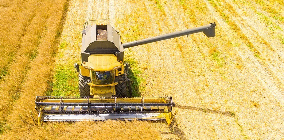 請加入聯合利華的綠色餐飲計劃