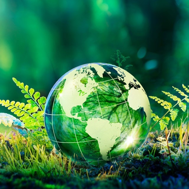 三個震撼資訊，康寶以再生農業打造永續環境