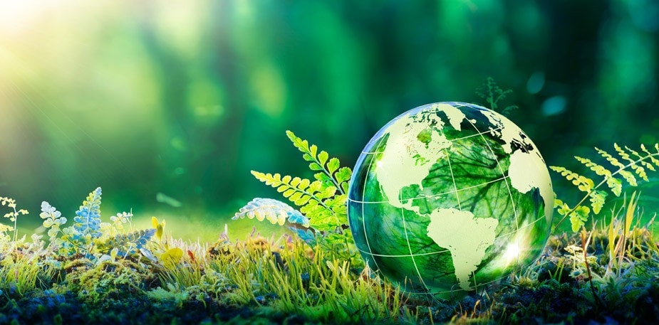 三個震撼資訊，康寶以再生農業打造永續環境