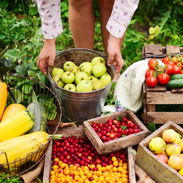 關注永續食材，你抓住重點了嗎?