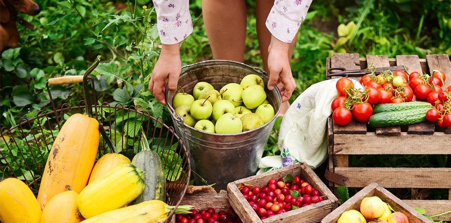 關注永續食材，你抓住重點了嗎?