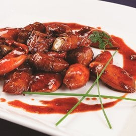 巴塞小墨魚 巴塞小墨魚