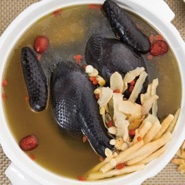 沙參玉竹燉烏雞 沙參玉竹燉烏雞